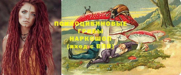 тгк Нея