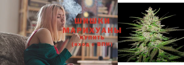 амф Новодвинск