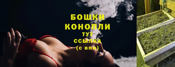 марки lsd Новозыбков