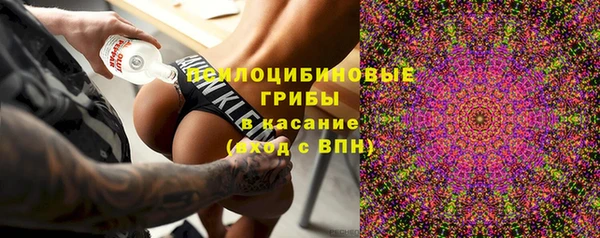 марки lsd Новозыбков
