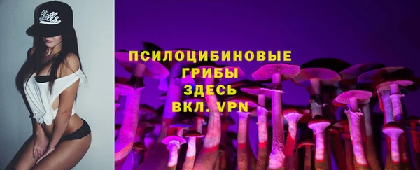 стафф Нефтекумск