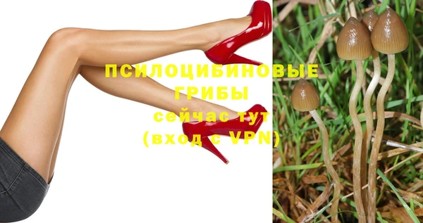 амф Новодвинск