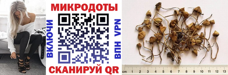 цена наркотик Мичуринск Галлюциногенные грибы MAGIC MUSHROOMS