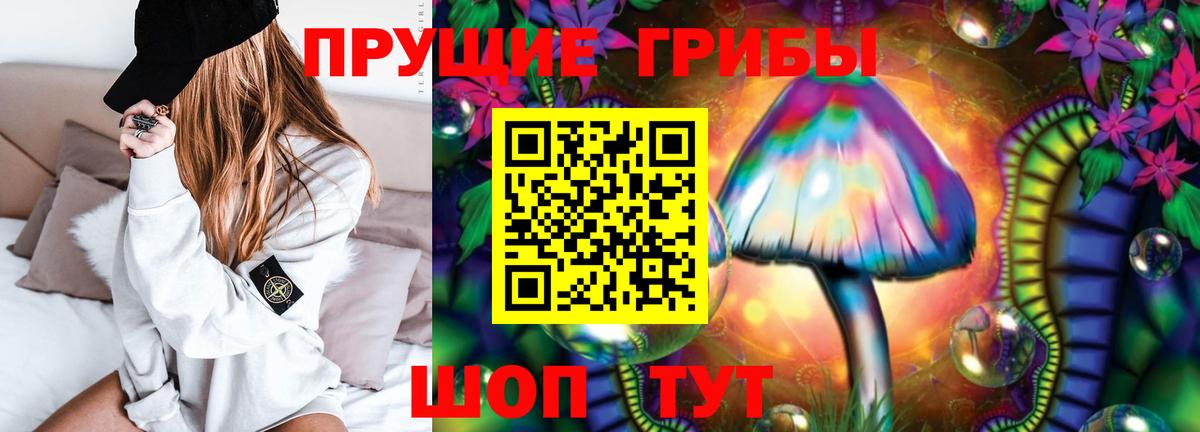 Галлюциногенные грибы прущие грибы  Вход с VPN  Мичуринск 